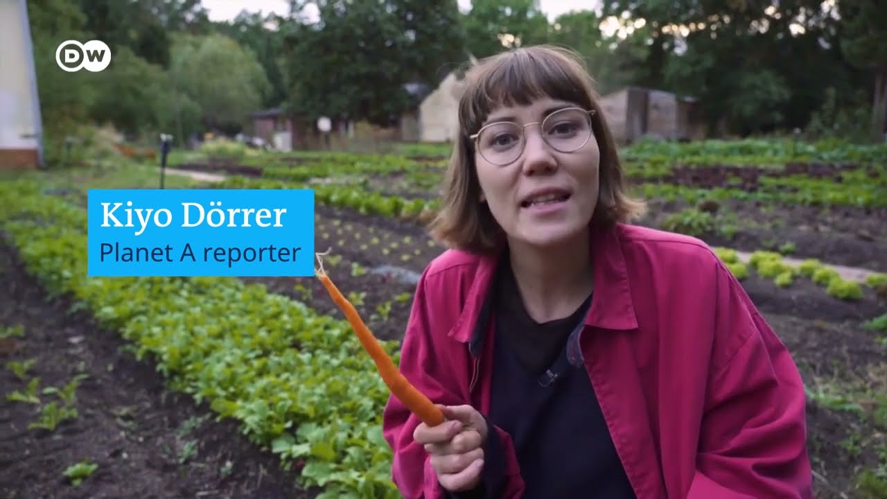 PERMACULTURE IN PRACTICE IN GERMANY. A working farm.