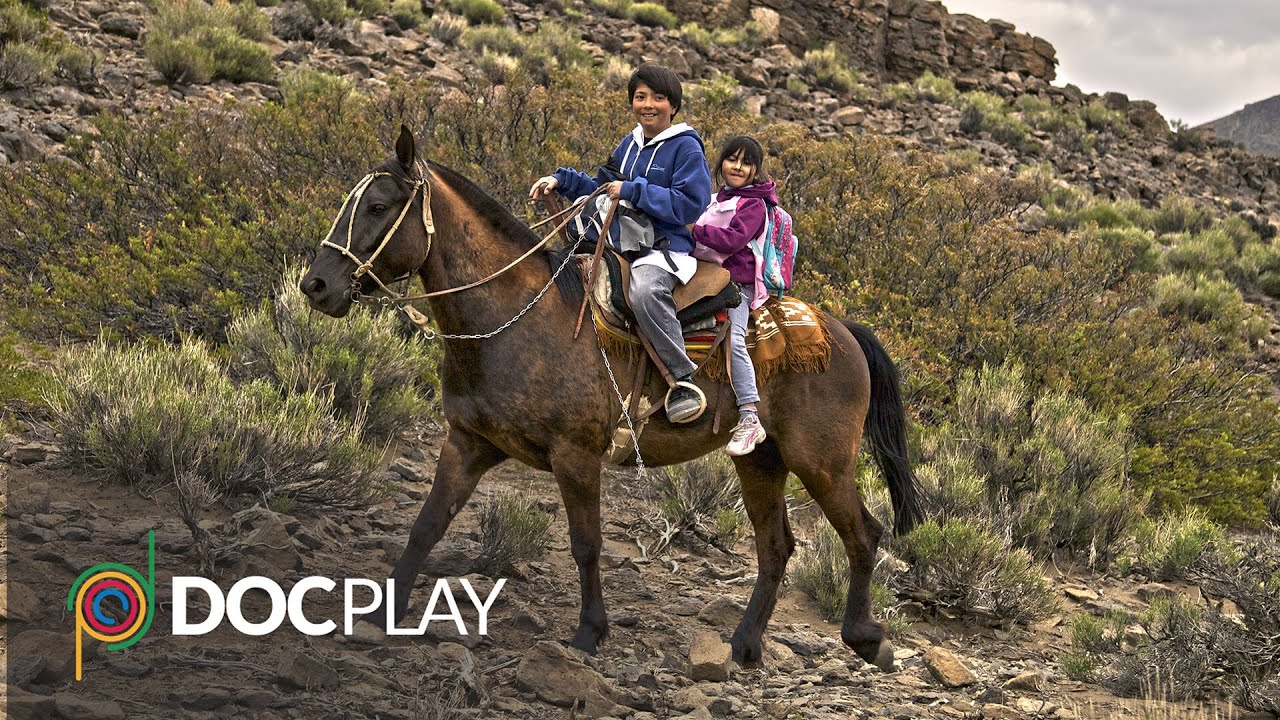 On The Way To School | Official Trailer | DocPlay
