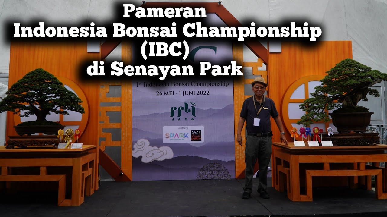 Pameran Bonsai ( IBC) di Senayan Park/Bonsai Exhibition in IBC Senayan Park