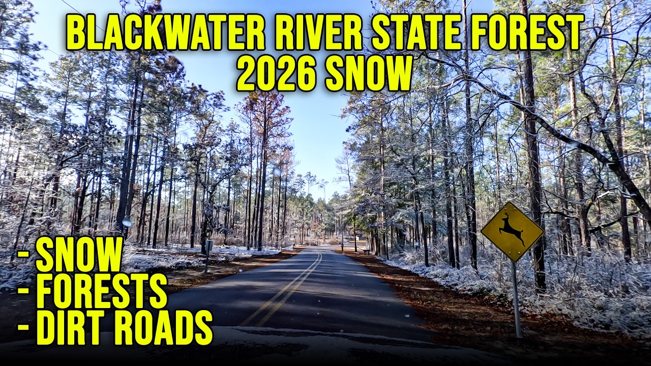 Florida Snow in Blackwater River State Forest - 2026 | 4K Driving (No Sound)
