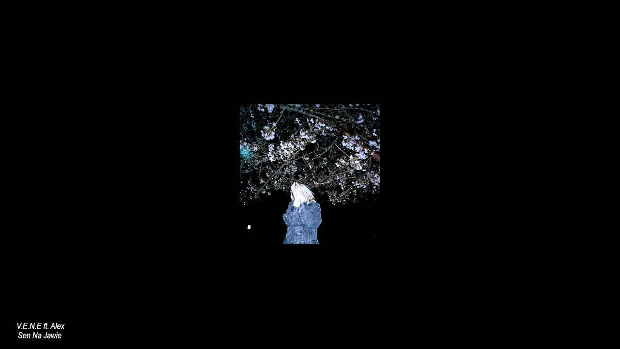 v.e.n.e ft.Alex - Sen Na Jawie