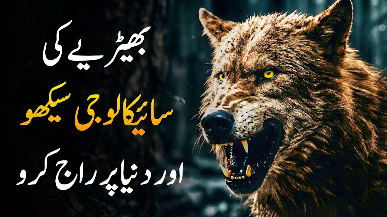 Wolf Mentality: 12 Dark Rules of Power to Become Unstoppable