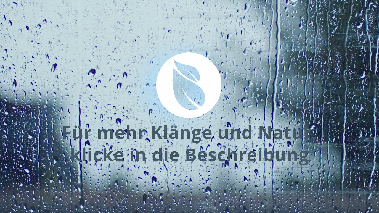 Naturklänge | sanfter Regen | Regengeräusche zum entspannen