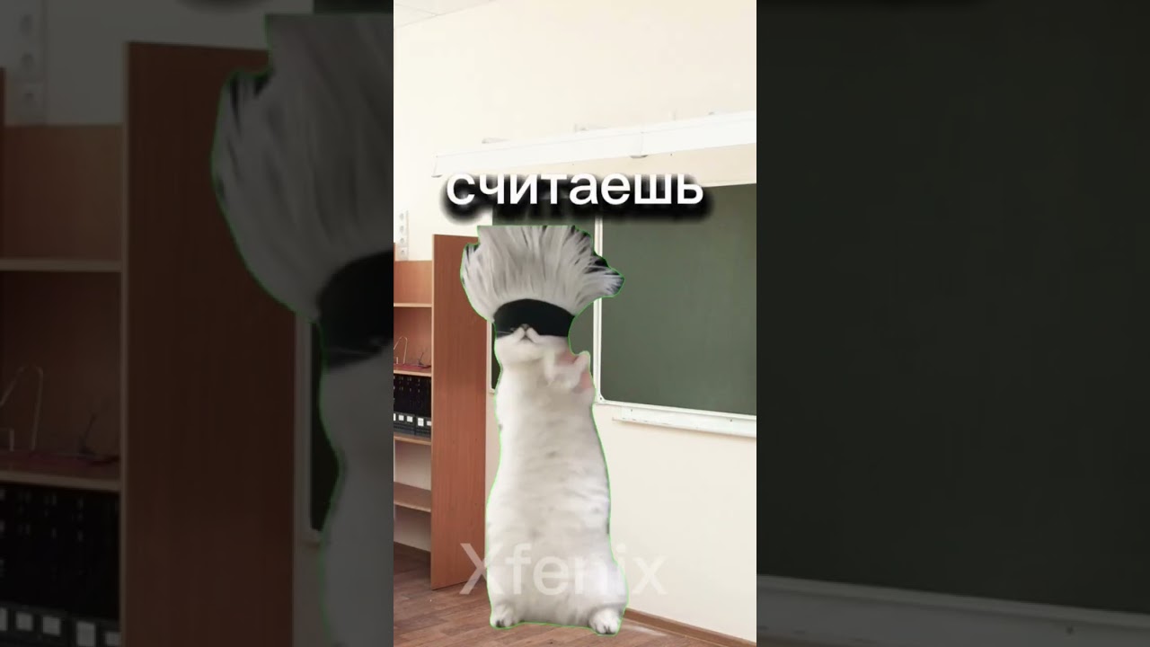 Котик нашол лишний палец😱 