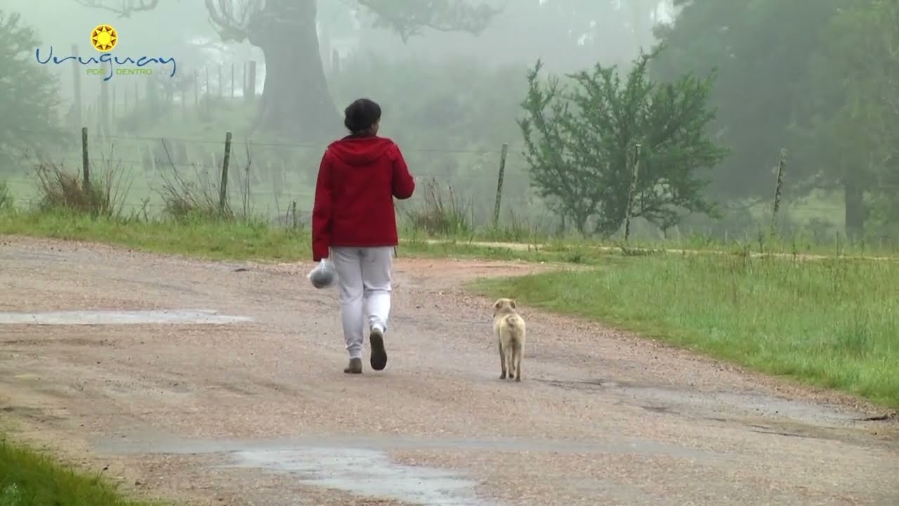 Uruguay por dentro 23 de Marzo del 2024, Isla Patrulla en espacio de Pagos y Canciones.