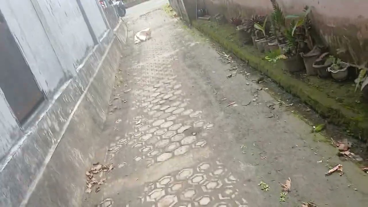 La petite rue/Jalan kecil...