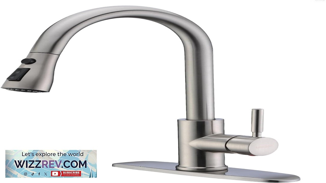 WEWE Single Handle High Arc Brushed Nickel Pull Out Kitchen Faucet Single Level