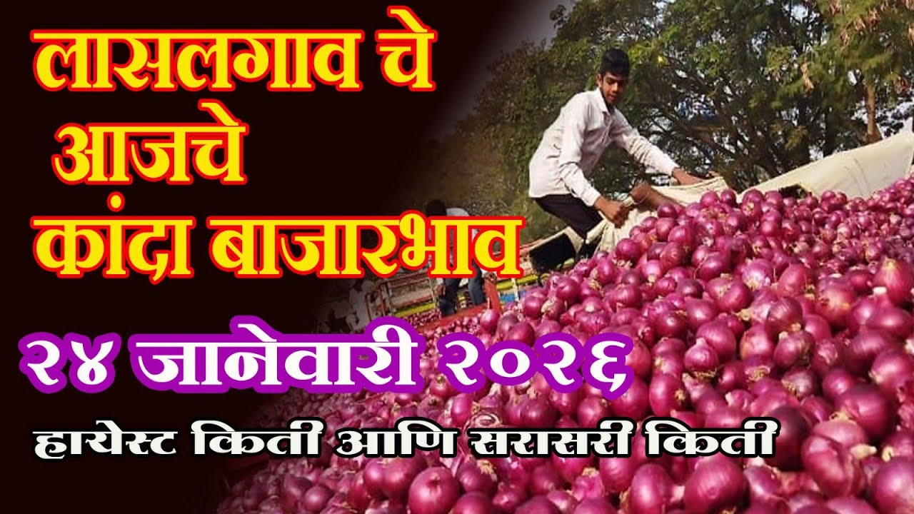  Lasalgaon Onion Market Rate Today 24 January 202624 लासलगाव बाजार समिती आजचे कांदा बाजारभाव
