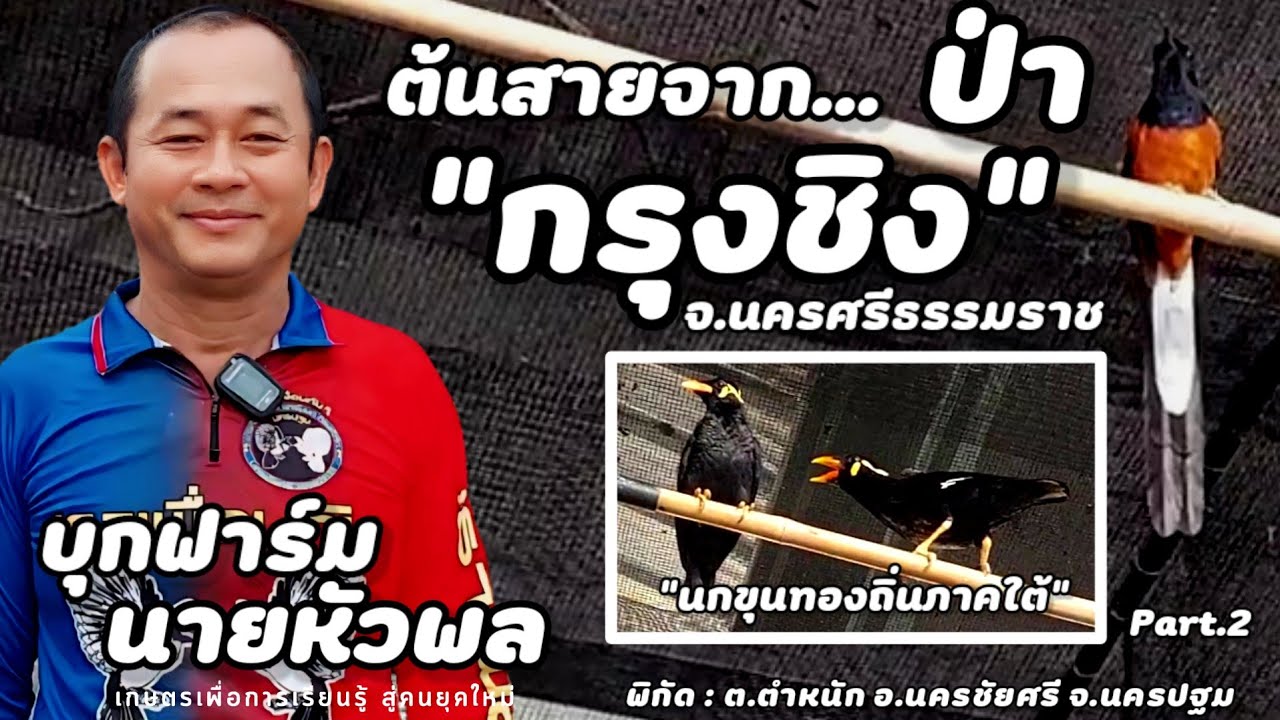 บุกฟาร์ม | สุรพลฟาร์ม นครชัยศรี (นายหัวพล) | Part.2นอกจากนกกรงหัวจุกยังมี