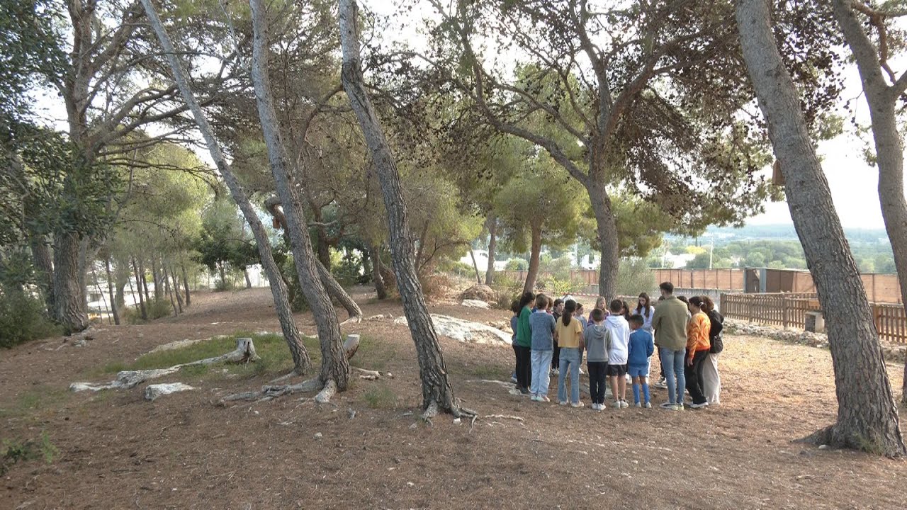 L'Escola Riera de Ribes renovarà tres espais de pati amb propostes dels mateixos alumnes