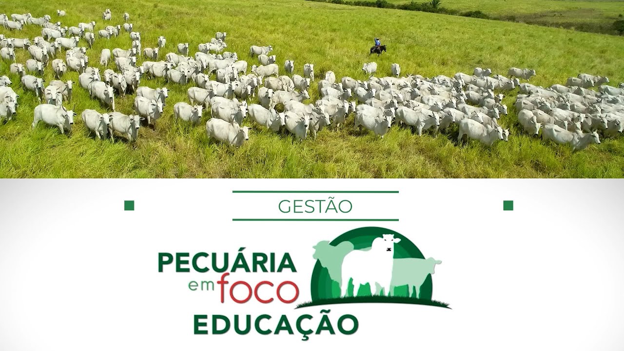 3 - GESTÃO DA PECUÁRIA - PECUÁRIA EM FOCO EDUCAÇÃO