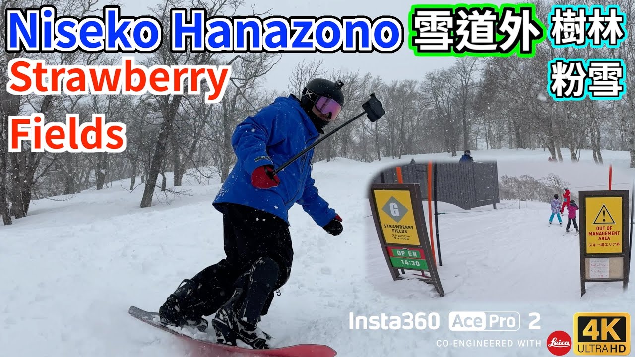 【4K日本滑雪自駕遊】Niseko Hanazono 一齊來體驗 Off-Piste 粉雪樹林的魅力 Strawberry Fields [CC字幕]