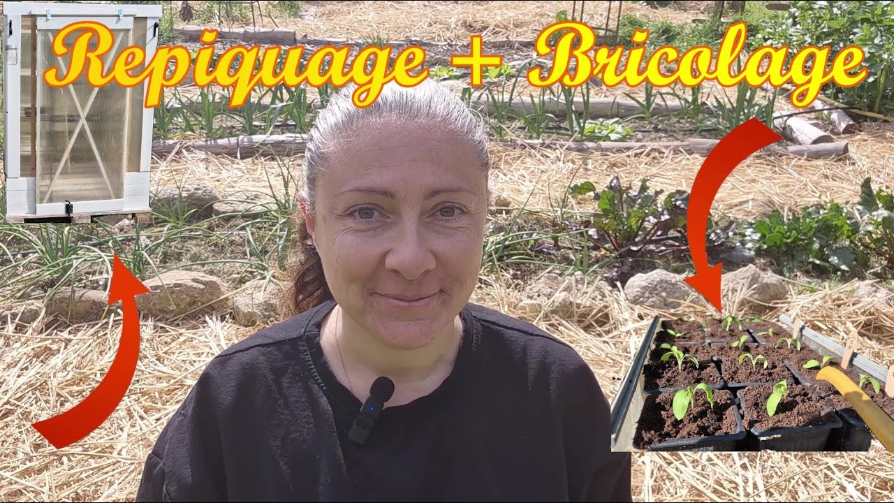 Bricolage mini serre en récup 0€ et Repiquage de 3 légumes !