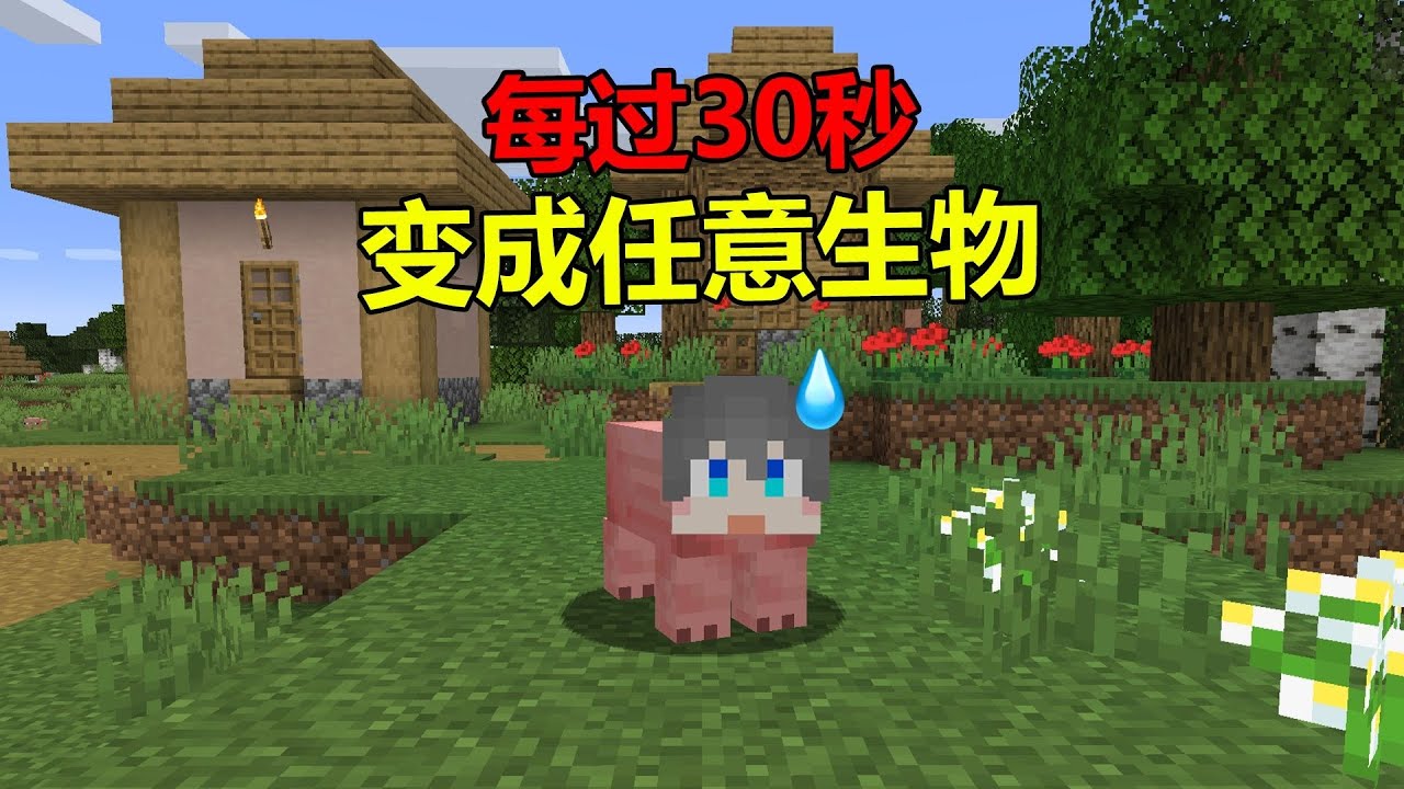 当MC每过30秒就会变成任意生物？！