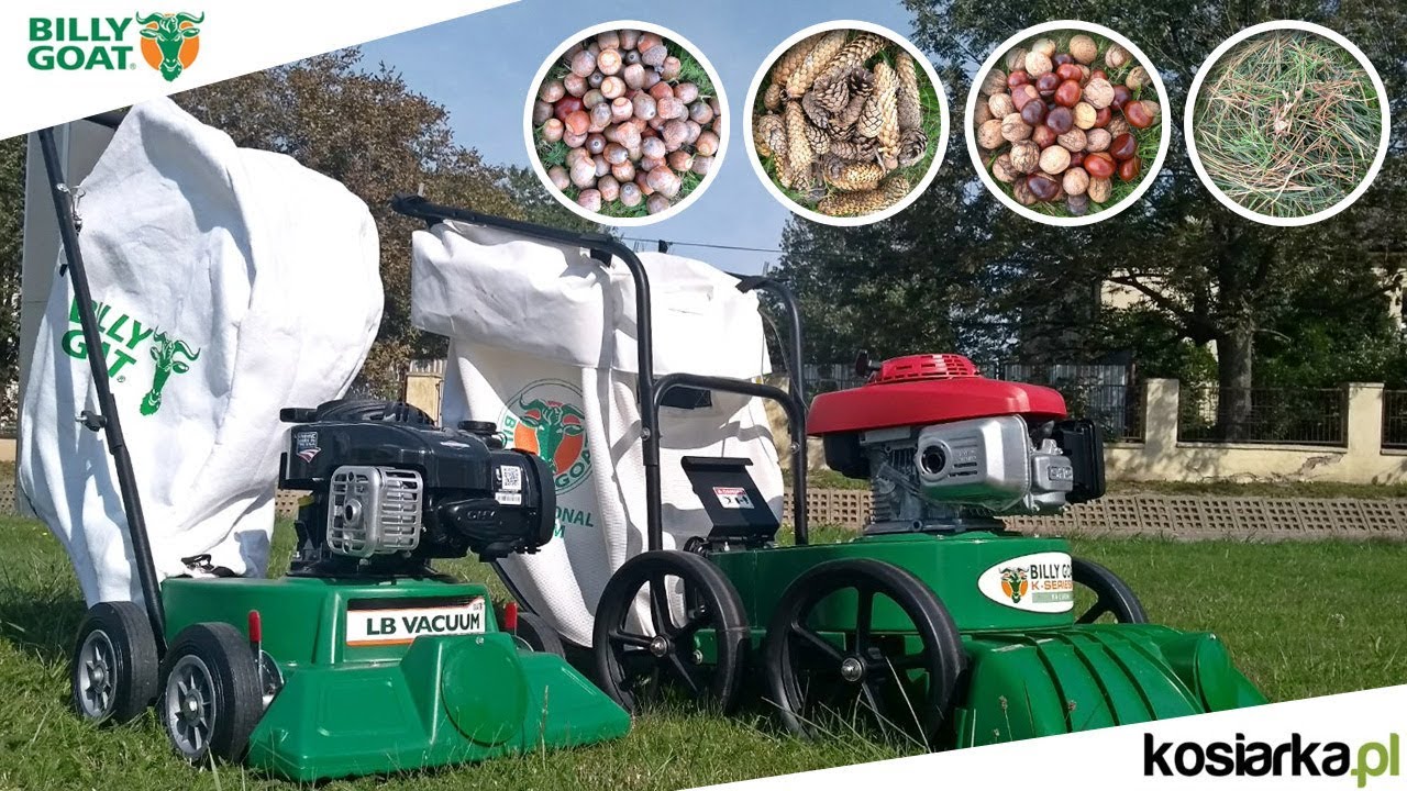 Odkurzacz ogrodowy do igliwia, szyszek, żołędzi, kasztanów - Billy Goat KV