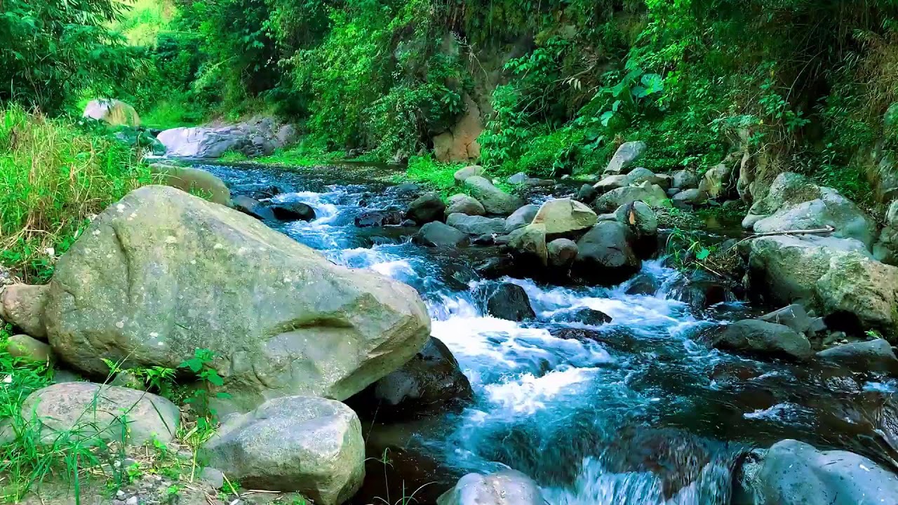 Harmonious Calm Lake to help Better Sleep, Sound Sleep & Mindfulness