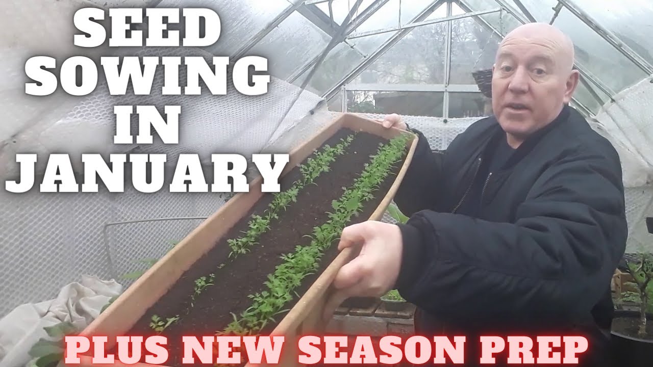 Seed Sowing In January 2023 [Gardening Allotment UK] [Grow Vegetables At Home ]