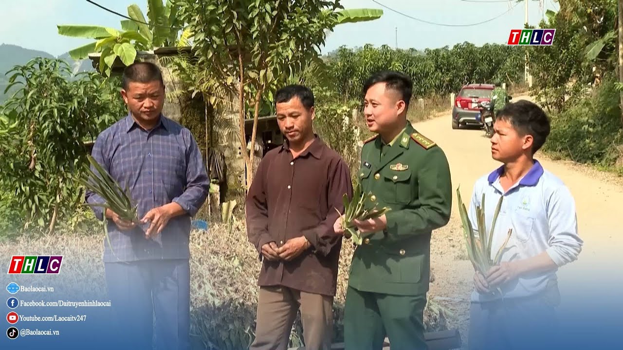 Người dân Lào Cai hướng về Đại hội đại biểu toàn quốc lần thứ XIV của Đảng | THLC
