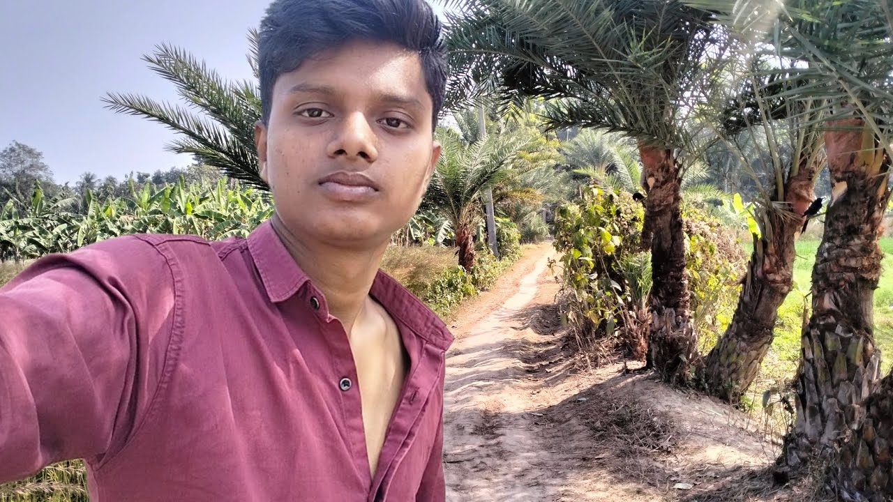 পাখি খেজুর গাছে বসে রস খাচ্ছে