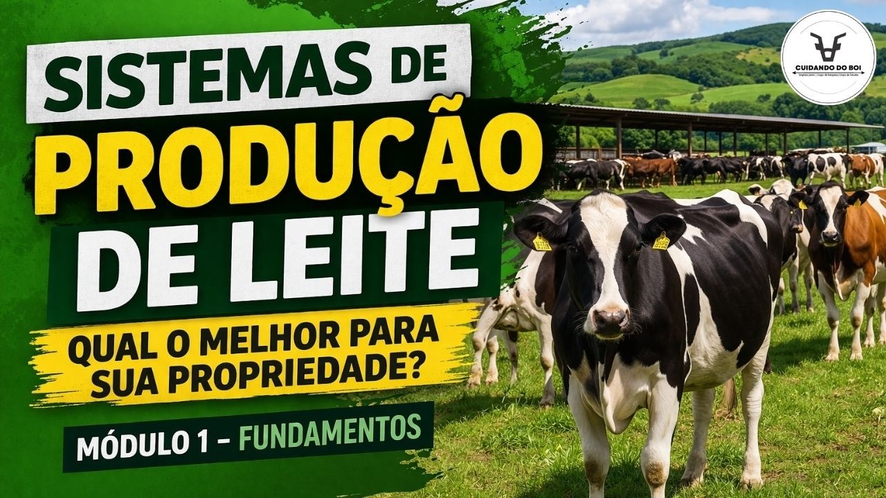 Sistemas de Produção para Gado Leiteiro | Prof. Dr. Antônio Filho