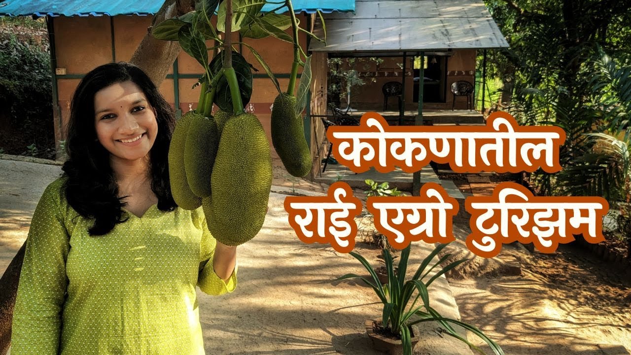 सफर संगमेश्वरची - तीनही ऋतूत आल्हाद देणाऱ्या आडवाटेवरच्या कोकणाची | kokan travel vlog | kokan places