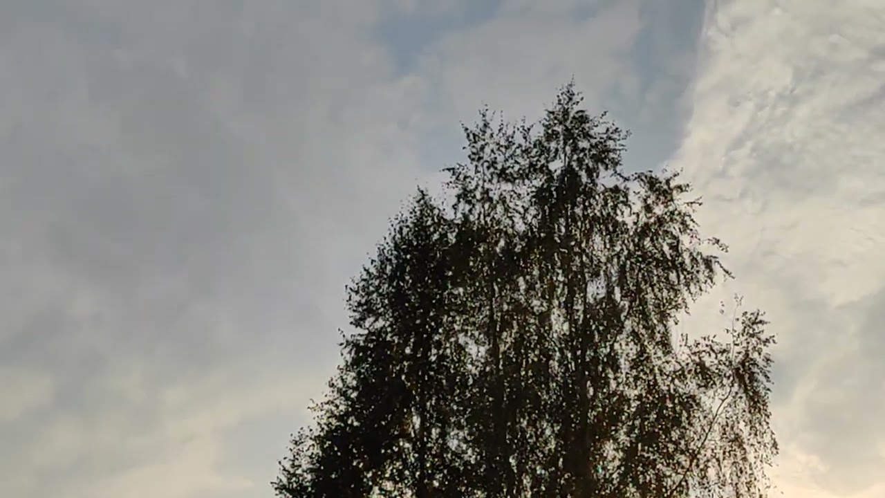 podpustka :)