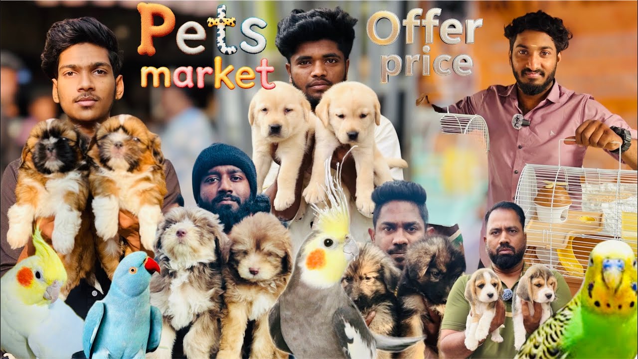 Sunday Pets Market 2026 | Open only on Sunday Timing 5:30am to 11 am 