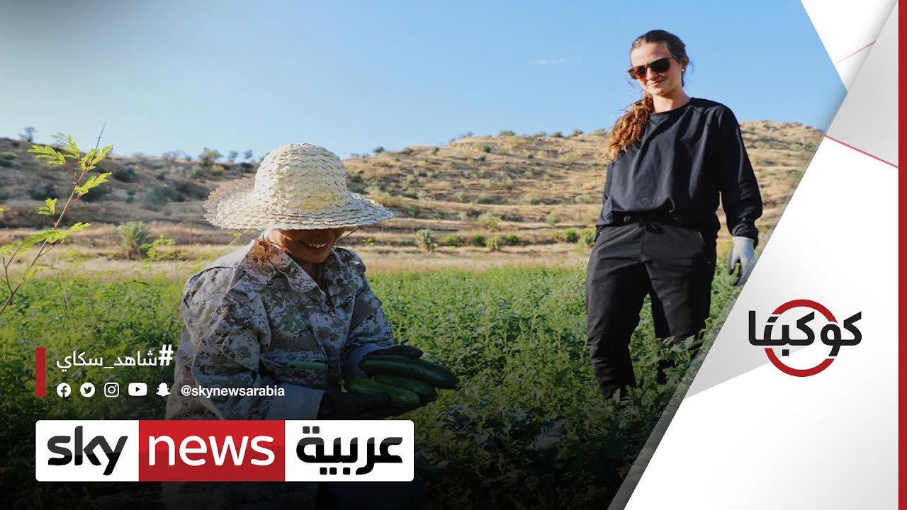 كيف يحافظ مشروع 