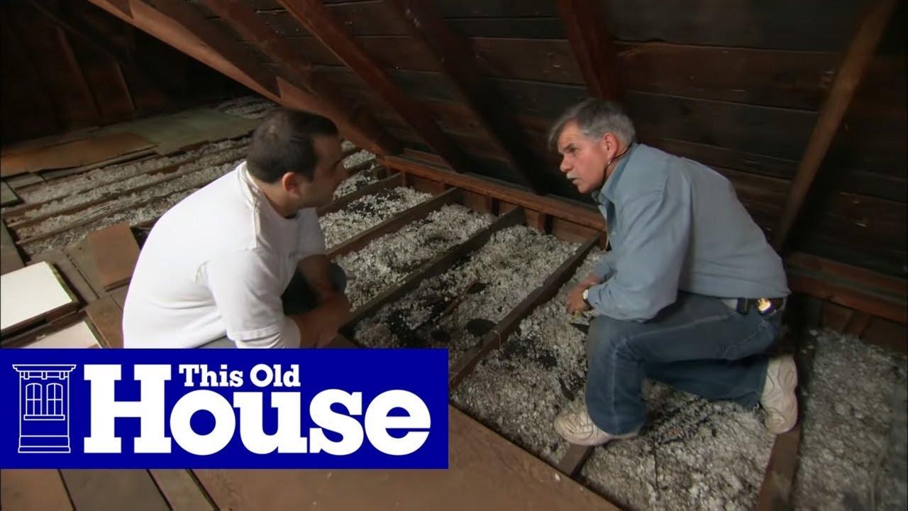 Attic Cleaning Somerset County Nj Somerset County - Pest Control Somerset County