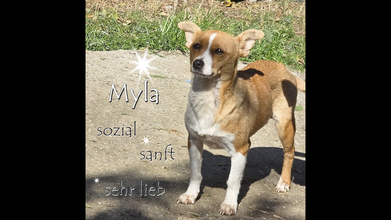 Myla ❤️ hat ihr Zuhause gefunden!