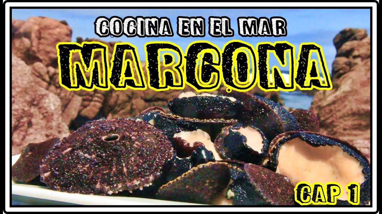 Bienvenidos a MARCONA : Playas , Cocina en el Mar y Helado de Erizo