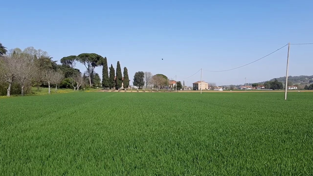 Suoni e colori di fauna e flora in via Belfiore