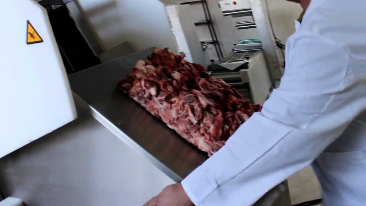 NESTO   - Frozen meat block flaker MAGURIT FROMAT