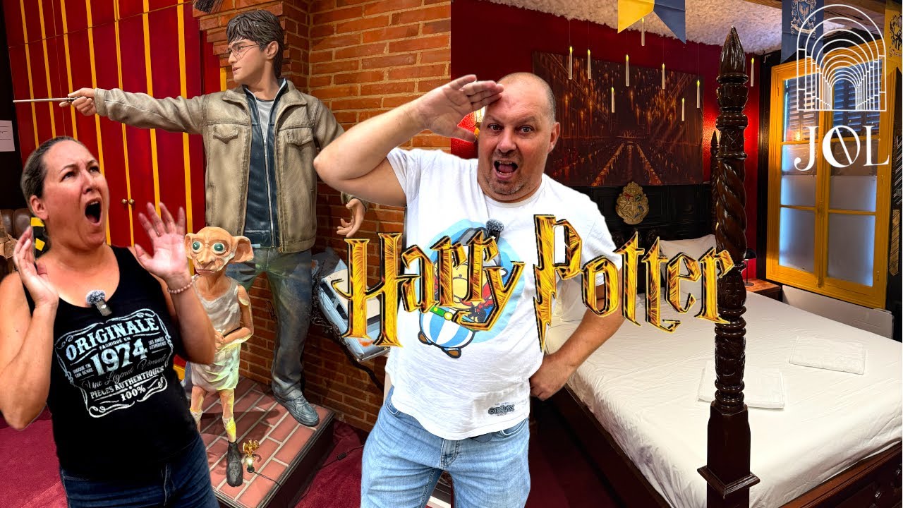 DECOUVERTE MAGNIFIQUE DE LA CHAMBRE HARRY POTTER A TROYES