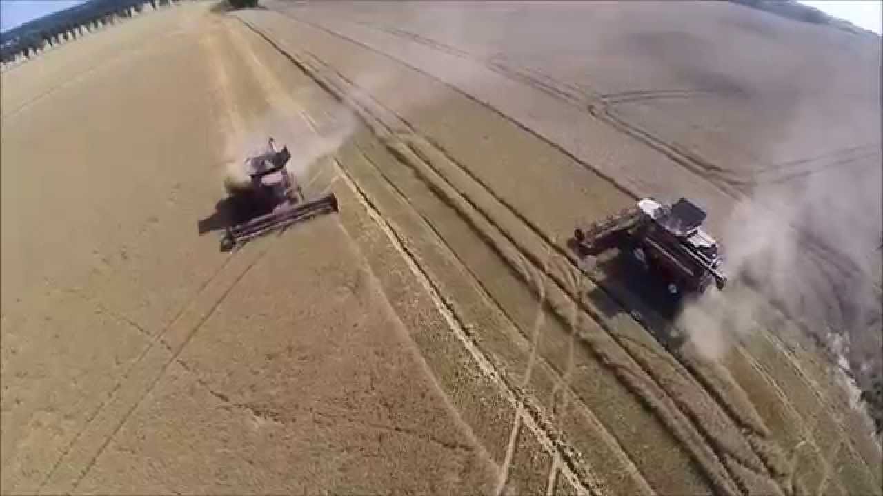 Grupa Poltor - Żniwa 2015, Harvest in Poland 2015, Ernte in Polen 2015 - CASE Axial Flow 9230