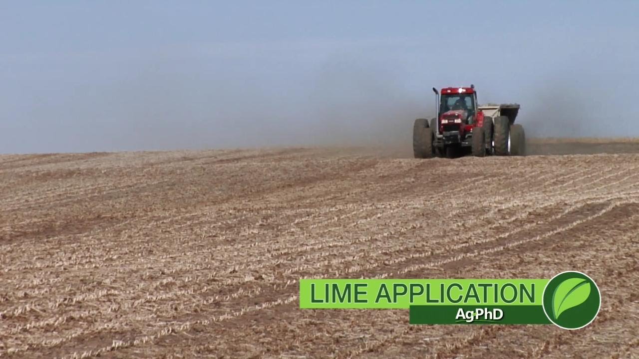 Lime Application #1065 (Air Date 9-2-18)