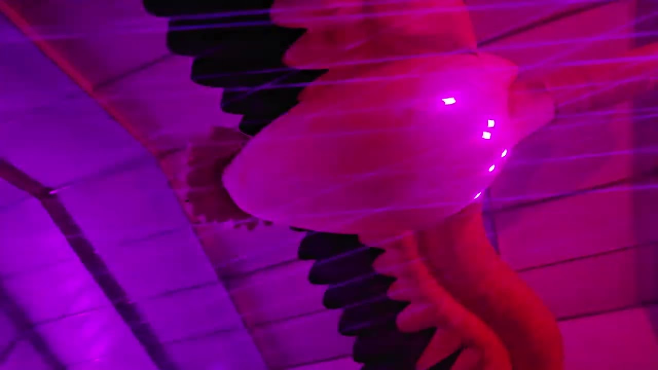 Family Piknik 2025 - Personal Compilation (Carl Cox, Miss Monique, Vitalic, ...)