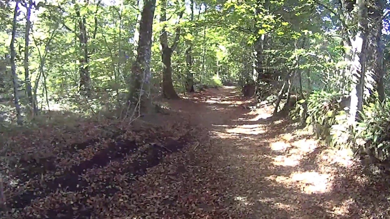 Camino de Santiago: Roncesvalles a Larrasoaña. Etapa 01