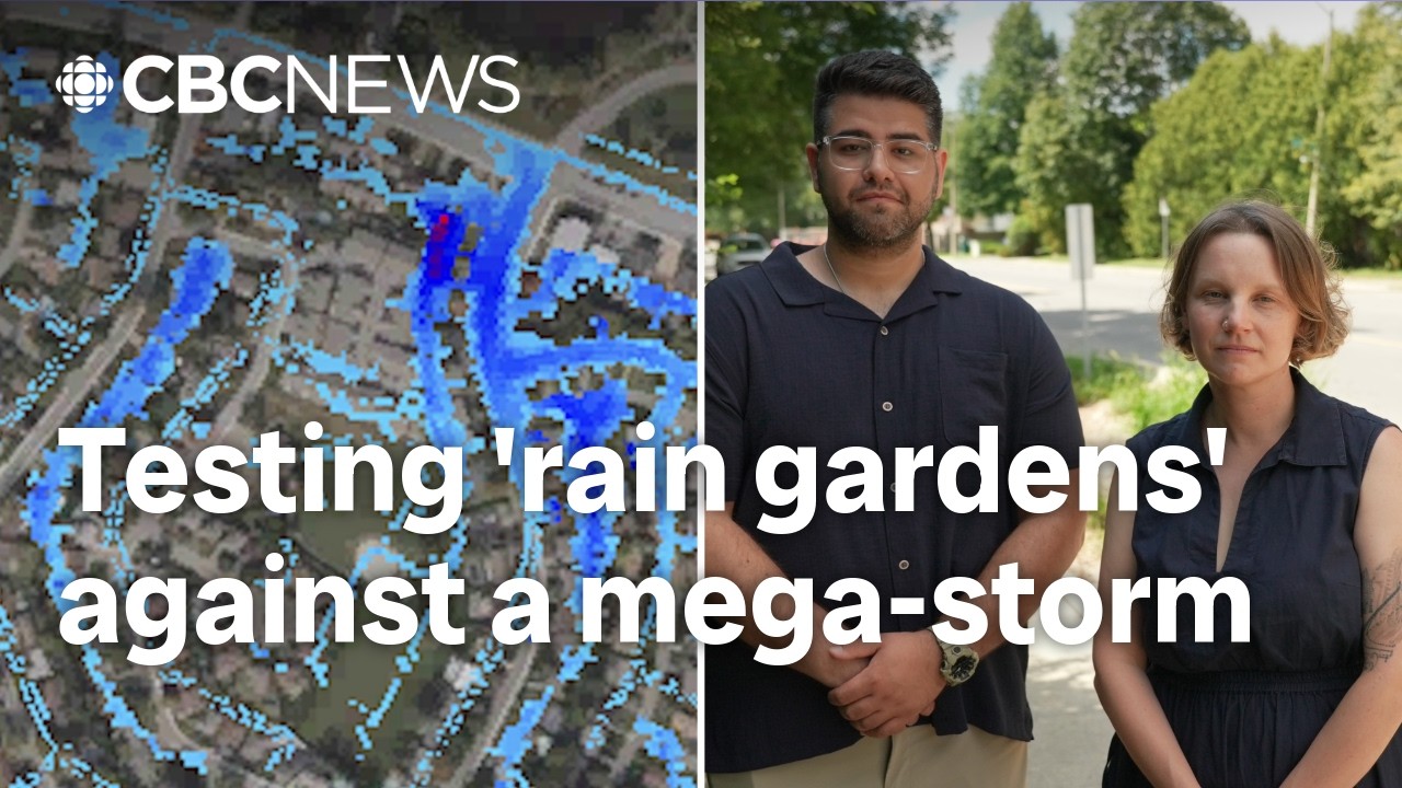 'Rain gardens' could help lessen the pain of future Ottawa mega-storms, researchers say