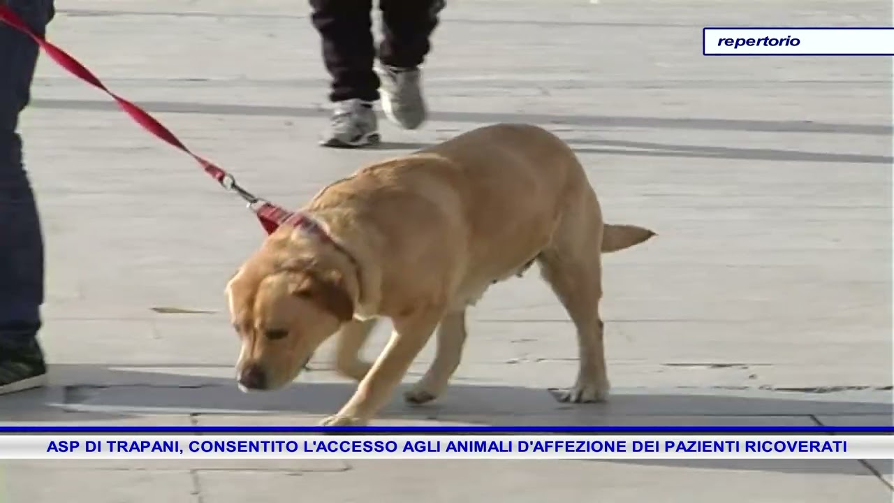 ASP DI TRAPANI, CONSENTITO L'ACCESSO AGLI ANIMALI D'AFFEZIONE DEI PAZIENTI RICOVERATI