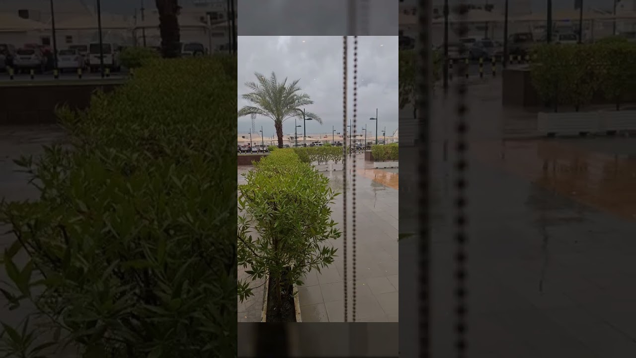 it's a rainy day in Qatar