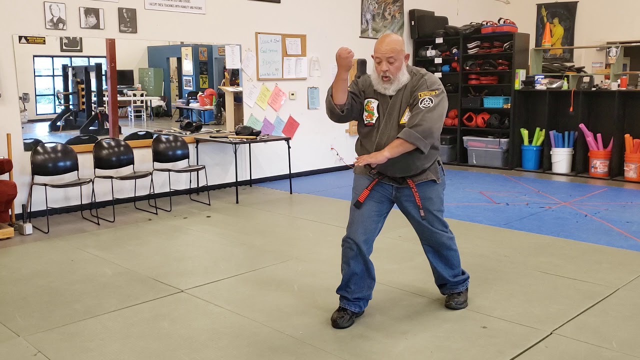 WMAA Kenpo Form-Mass Attack