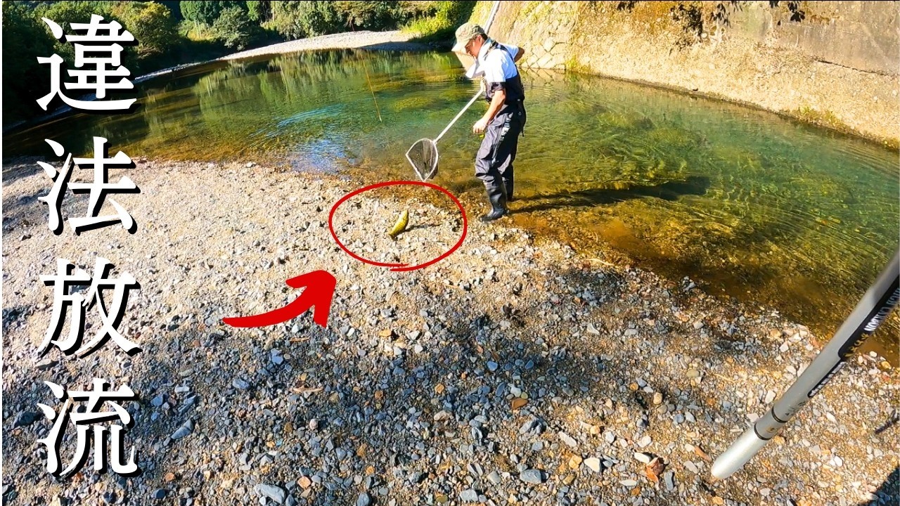ブラックバスの違法放流やめてくれませんか？