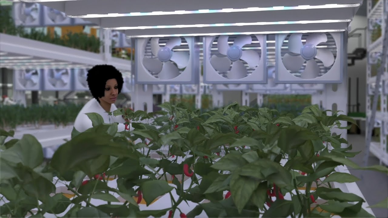 Migal - Vertical Farming Visualization