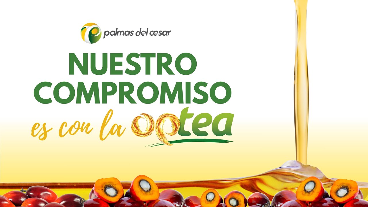 Nuestro Compromiso es con la OPTEA