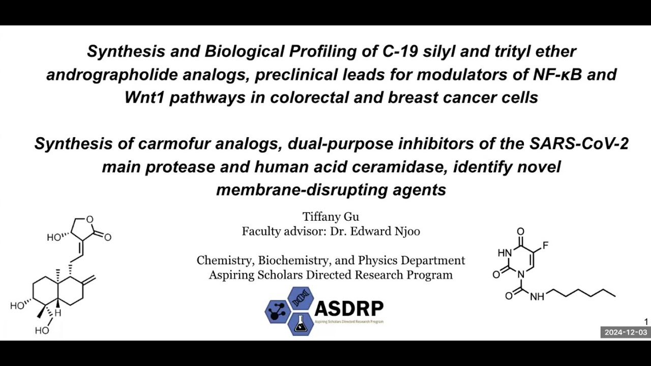 Carmofur and andrographolide analogs target SARS-CoV-2, cancer via protease, Nf-kB, and Wnt1