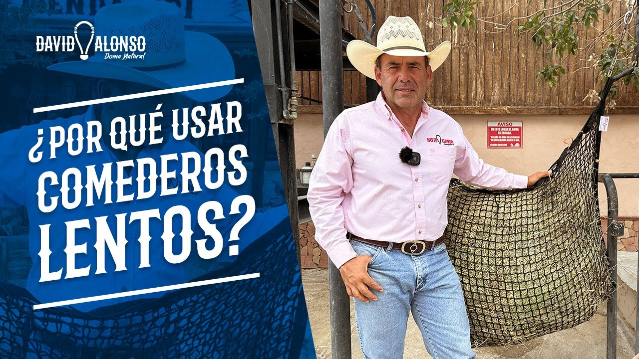 ¿Por qué usar comederos lentos?