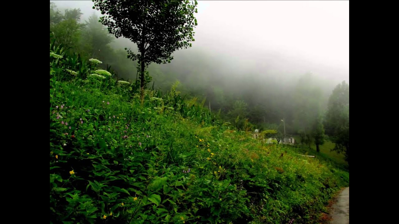 Gürgenağaç /Maçka/ 29.06.2014