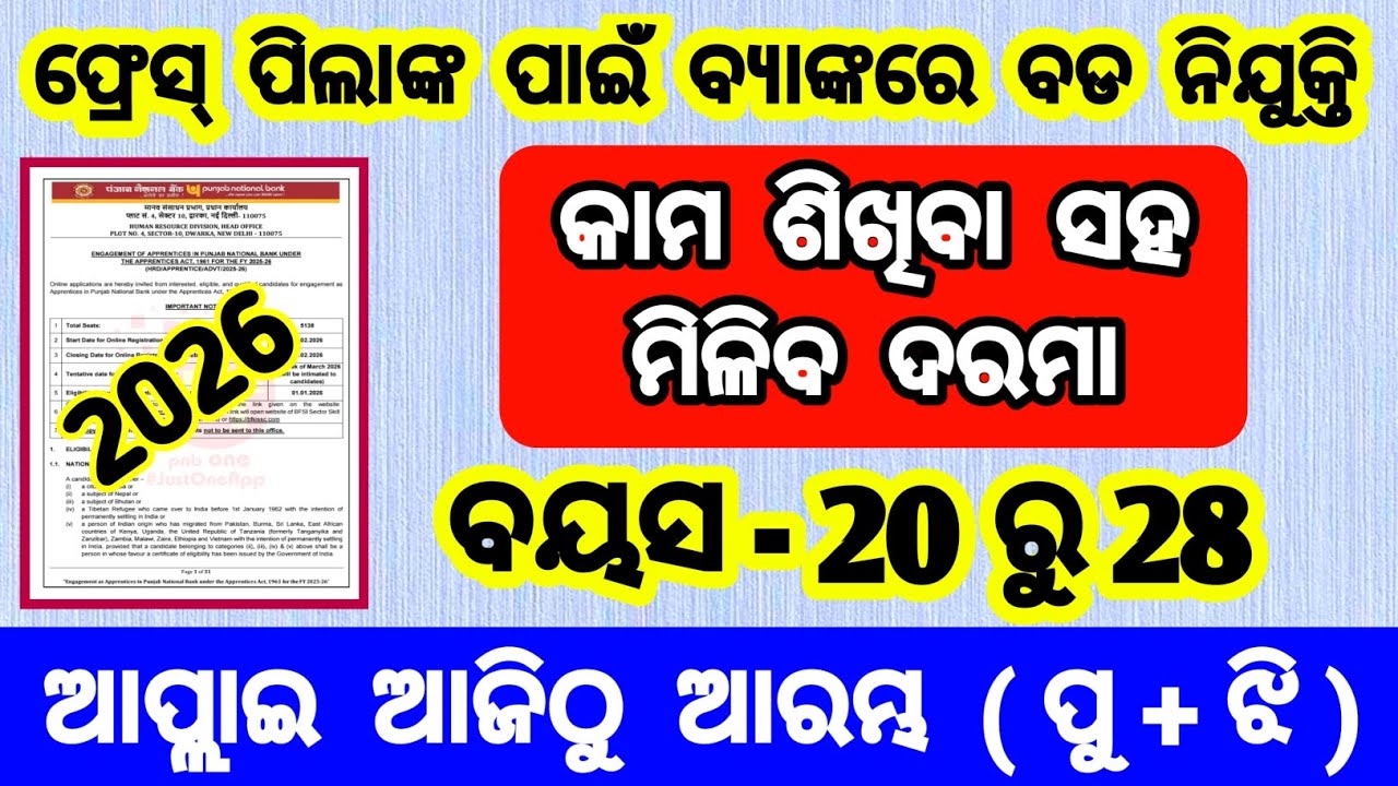 bank jobs for freshers 2026 | new vacancy in banks 2026 | PNB apprentice recruitment 2026