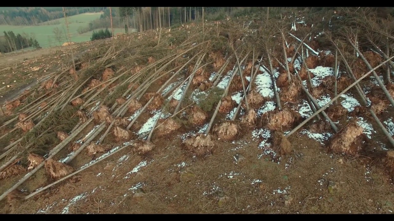 Der Sturm Friederike über dem Flecken Bodenfelde